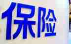 对保险的调查报告5篇