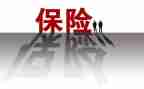 2024年保险业务员工作总结参考5篇