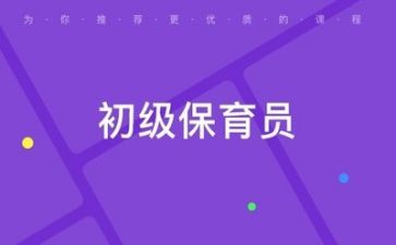 保育工作报告7篇