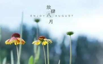 八月份的工作总结最新6篇