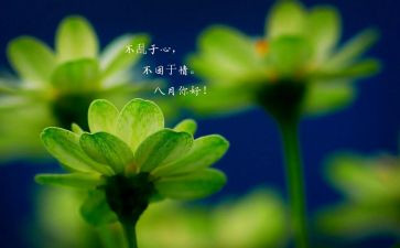 八月节活动方案8篇