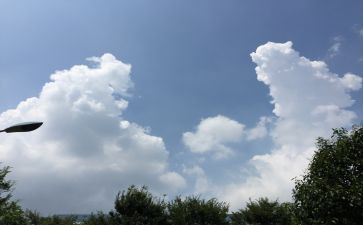家乡环境的变化调查报告5篇