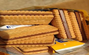 喂动物吃饼干教案8篇