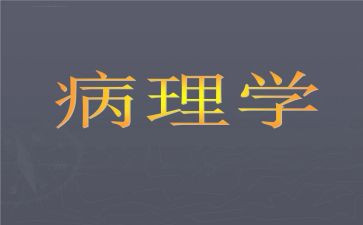 病理科工作个人总结5篇