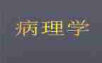 病理科工作个人总结5篇