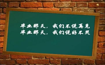 毕设工作报告模板7篇