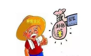 申请学校补贴申请书8篇