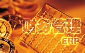 财务会计实习报告3000字6篇