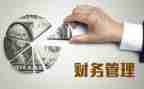 2024年财务半年工作总结参考6篇