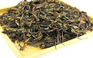 茶的感悟作文精选6篇