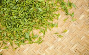 说茶阅读教学反思8篇