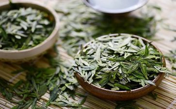 茶的感悟作文优秀5篇