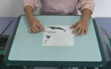 长与短作文800字参考7篇