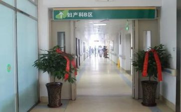 产科护士个人述职报告范文7篇