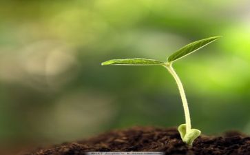 成长类优秀作文最新5篇