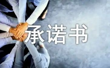 电脑售后服务承诺书7篇