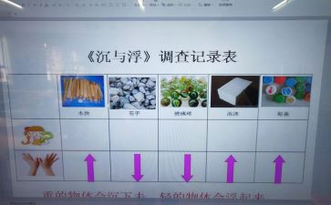 幼儿园小班沉与浮教学总结7篇
