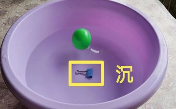 幼儿园小班沉与浮教案参考5篇