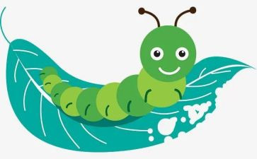 幼儿园大班音乐虫儿飞教案7篇