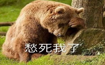 我真愁作文通用6篇