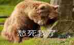 我真愁作文通用6篇