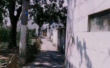 闯祸的我作文模板5篇
