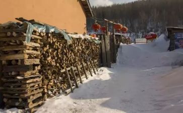 关于闯的话题作文模板8篇