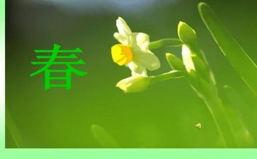春天幼儿活动教案5篇
