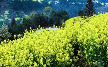 致青春期的我们作文7篇