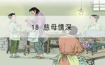 《慈母情深》教案6篇