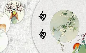 匆匆心得5篇