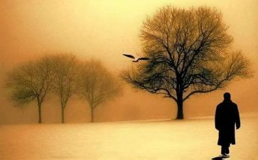 读了匆匆的读后感100字8篇