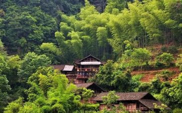大学生到村工作工作总结最新5篇