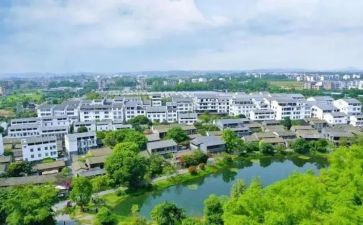 学习农村心得体会7篇