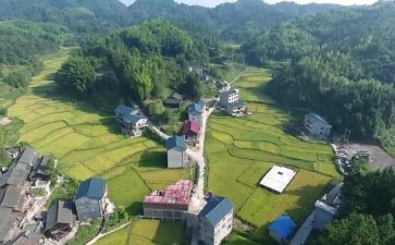 村官述职报告范文8篇