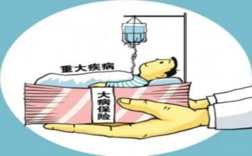 农村大病救助申请书通用7篇