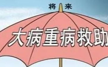 申请大病临时救助申请书8篇