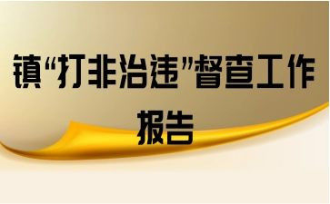 村扫黄打非工作总结5篇