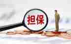 担保合同模板5篇