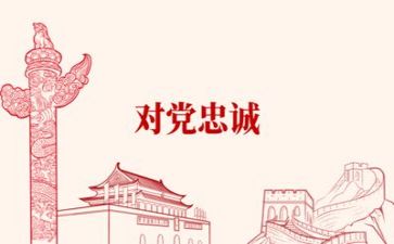 党会教师发言稿范文优秀8篇