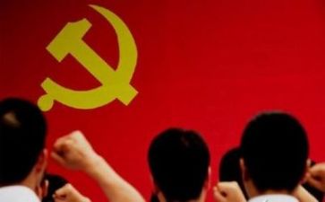 党年终工作总结参考6篇