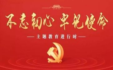 党主题活动心得体会通用5篇