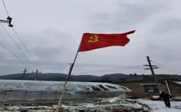 最新党员转正申请书范文6篇