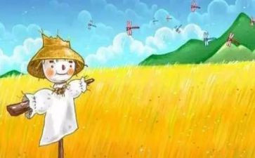 读后感稻草人读后感7篇