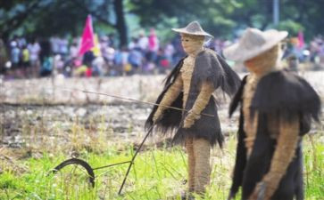 读后感稻草人读后感参考5篇