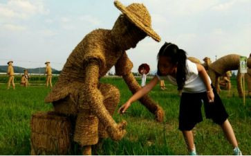 读后感稻草人读后感最新6篇