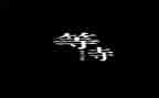 关于不等待的作文8篇