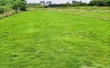 高一地理老师教学工作总结5篇