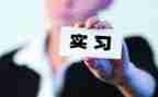 顶岗实习幼儿园总结报告6篇