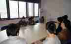顶岗实习报告电气自动化8篇